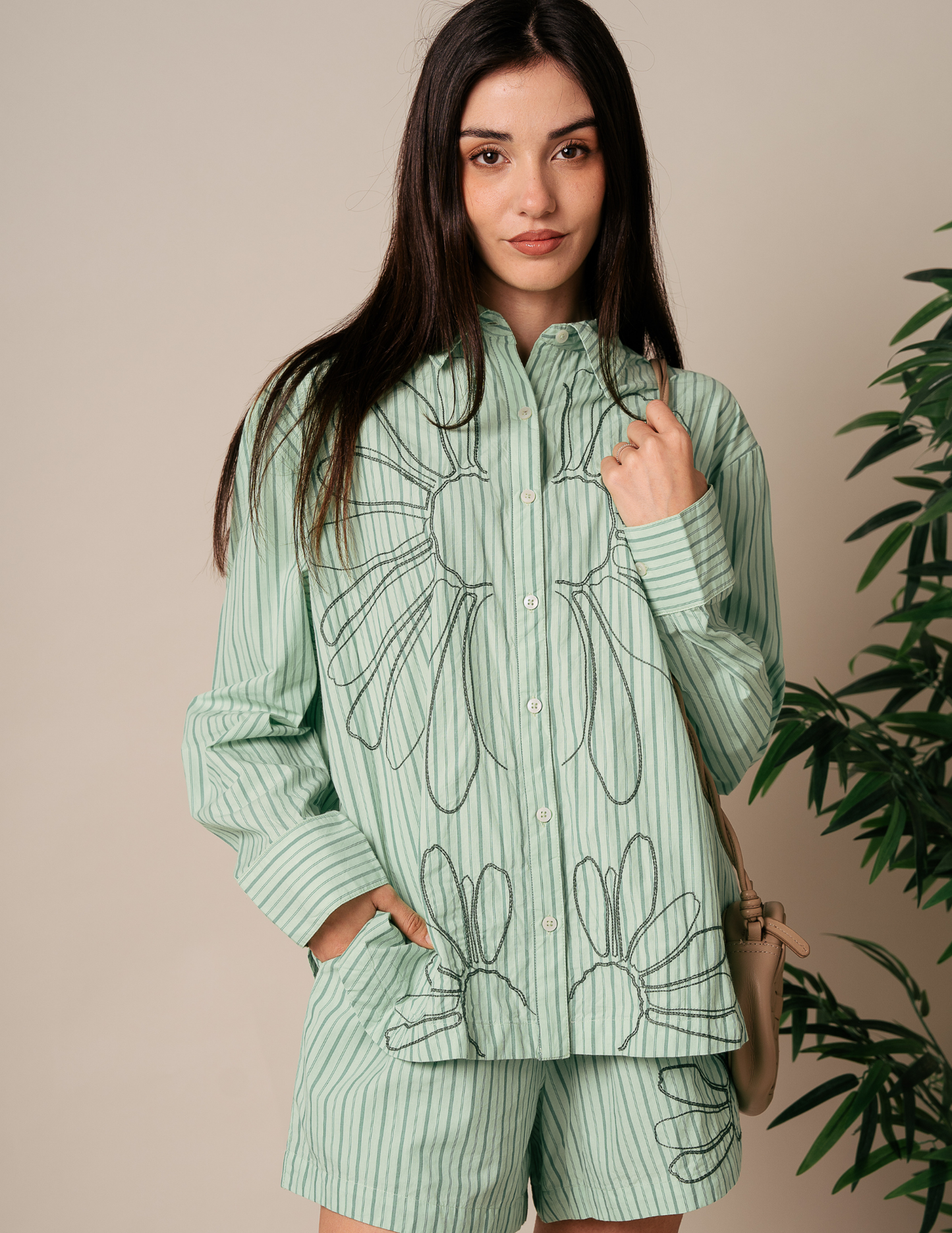 Zinnia Set - Pack of 3 (1S-1M-1L)